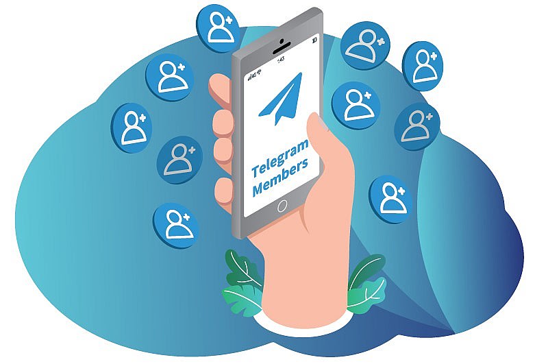 Read more about the article Buy Real Telegram Members
